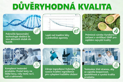 💯 PZGONE® Moringa·Berberine×NAD+ 10v1 Náplast 🎁 Zbývá pouze 10 boxů! 🎁 Dáváme další 30% slevu! Pečujte o své zdraví! Pokud teď propásnete, letos už nebude žádná příležitost!