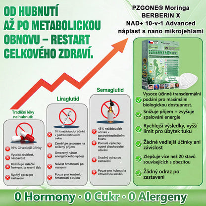 💯 PZGONE® Moringa·Berberine×NAD+ 10v1 Náplast 🎁 Zbývá pouze 10 boxů! 🎁 Dáváme další 30% slevu! Pečujte o své zdraví! Pokud teď propásnete, letos už nebude žádná příležitost!