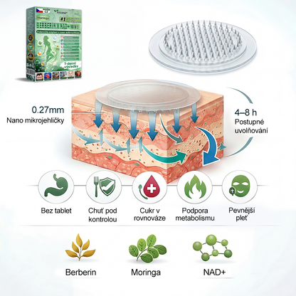 🇨🇿 Oficiální obchod | 💯 PZGONE® Moringa·Berberine×NAD+ 10v1 Náplast (Okamžitý účinek, 7 dní viditelná transformace)✅ Řešení pro: Obezita, ochablá pokožka, diabetes, spánková apnoe, kloubní potíže.